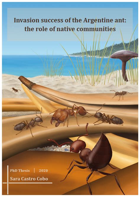 argentine ant supercolony.